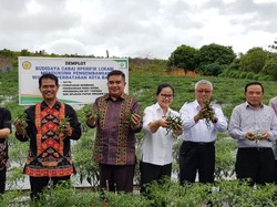 Jelang Natal & Tahun Baru, Mentan: Tak Ada Alasan Cabai Langka