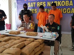 Pemilik-Penerima 130 Kg Ganja Aceh yang Dibawa 2 Oknum Polisi Diburu
