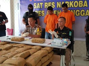 Pemilik-Penerima 130 Kg Ganja Aceh yang Dibawa 2 Oknum Polisi Diburu Pemilik-Penerima 130 Kg Ganja Aceh yang Dibawa 2 Oknum Polisi Diburu