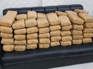 2 Oknum Polisi Pembawa 130 Kg Ganja Aceh Menanti Proses Hukum 2 Oknum Polisi Pembawa 130 Kg Ganja Aceh Menanti Proses Hukum