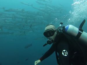 Foto: Dahsyatnya Alam Bawah Laut Wakatobi Foto: Dahsyatnya Alam Bawah Laut Wakatobi