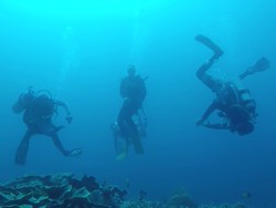 My Trip My Adventure: Selami Indahnya Wakatobi