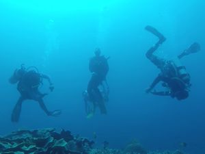 My Trip My Adventure: Selami Indahnya Wakatobi My Trip My Adventure: Selami Indahnya Wakatobi