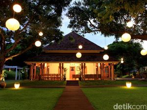 Wisata Arsitektur Banyuwangi: Terminal Hijau Sampai Bukit Teletubbies