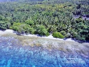 Pulau Komplit Destinasi Wisata Itu Bernama Bacan