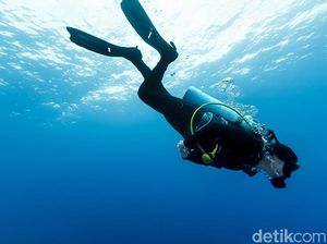 Mengapa Habis Diving Dilarang Naik Pesawat? Mengapa Habis Diving Dilarang Naik Pesawat?