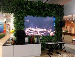 Video Penampakan Paviliun Indonesia Kosong di Polandia