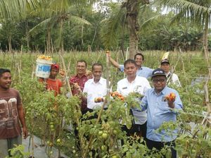 Tingkatkan Penghasilan, Petani di Maluku & Malut Dimodali Rp 20 Juta