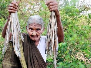 YouTuber Tertua Asal India Meninggal di Usia 107 Tahun