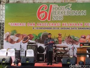 Pemprov Jabar Bagikan 2 Juta Bibit Kopi Terbaik