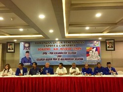 Ketua DPW PAN Kalsel soal Dukung Jokowi: Aku Diminta Besarkan Partai