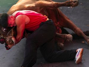 Gulat Banteng, Olahraga di China Menggabungkan Kung Fu dan Adu Banteng Gulat Banteng, Olahraga di China Menggabungkan Kung Fu dan Adu Banteng