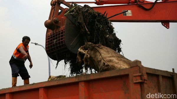Pembersihan Sampah Dari Kanal Banjir Timur