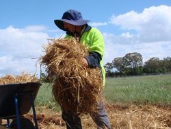 Warga Asing Berketerampilan Rendah Bisa Tinggal Permanen di Australia
