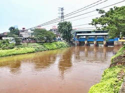 Pemprov DKI Bangun 14 Waduk Berkonsep Naturalisasi