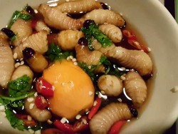 Selain Pho, Vietnam Punya Ulat Kelapa Hidup yang Enak Buat Camilan