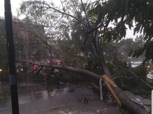 Atap Terbang-Pohon Tumbang Tersapu Puting Beliung di Cianjur Atap Terbang-Pohon Tumbang Tersapu Puting Beliung di Cianjur
