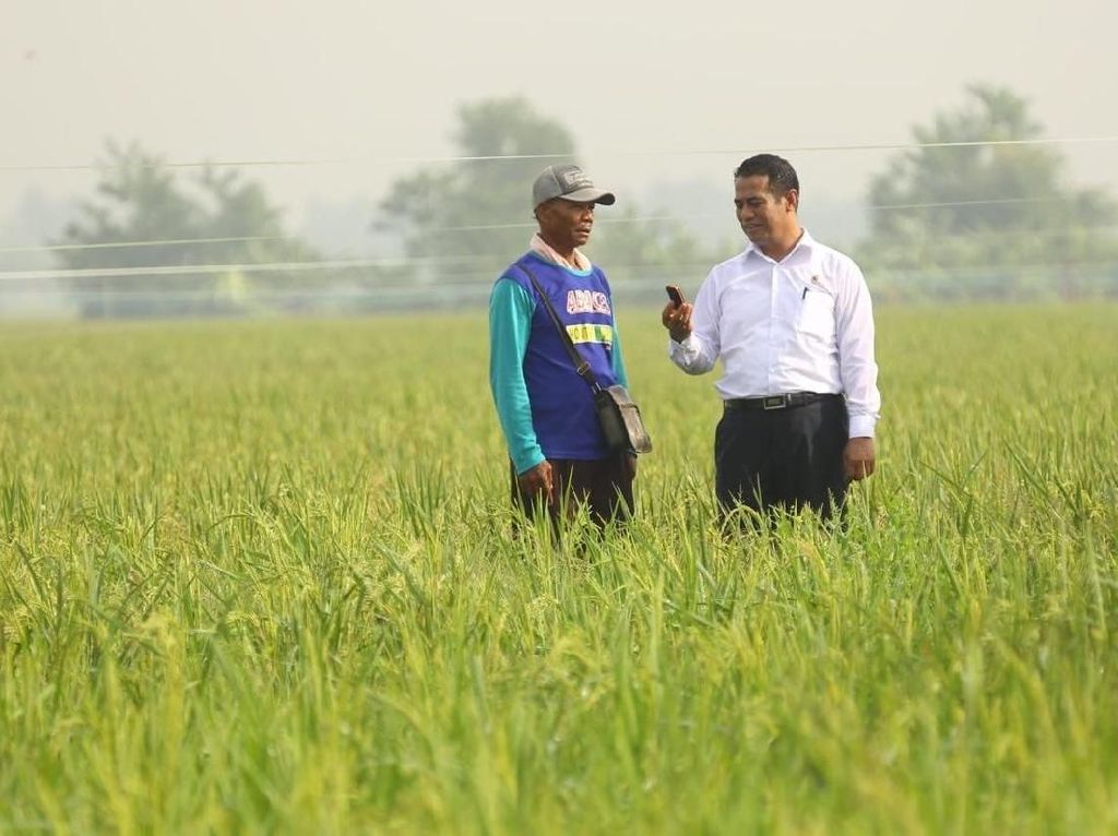 DPR: Anggaran Turun Tapi Kementan Mampu Genjot Produksi & Ekspor DPR: Anggaran Turun Tapi Kementan Mampu Genjot Produksi & Ekspor