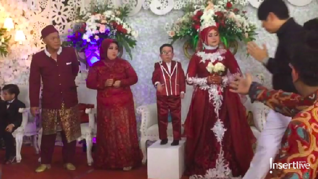 Daus Mini