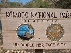 4.556 Warga Ini Terancam Penghasilannya Jika Komodo Ditutup
