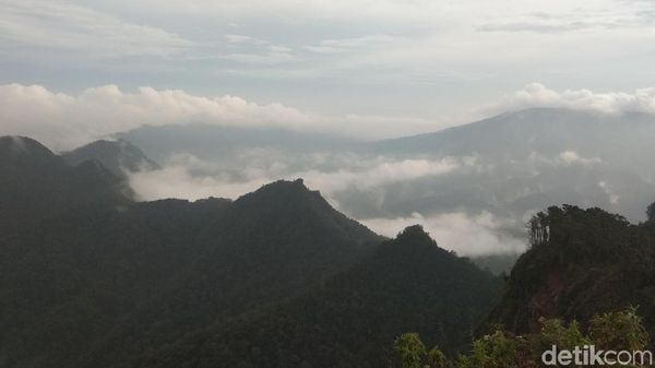 Foto: Liburan Naik Gunung Burangrang