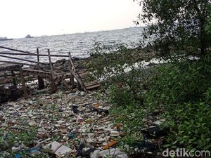 Pantai Marunda Dipenuhi Sampah, Anies: Dibersihkan Terus Pantai Marunda Dipenuhi Sampah, Anies: Dibersihkan Terus
