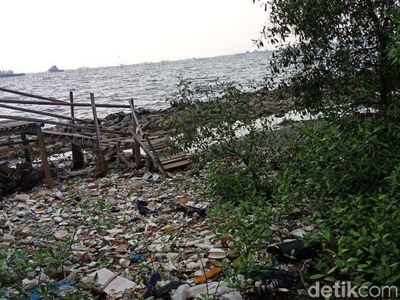 Foto: Sampah Menghampar di Pantai Marunda