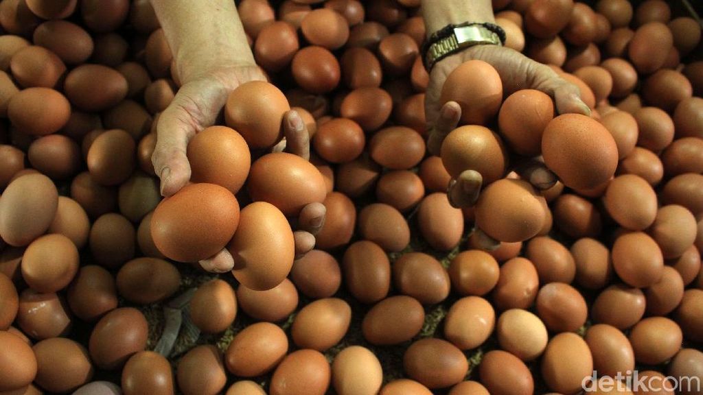 Begini Anomali Harga Telur Jelang Akhir Tahun