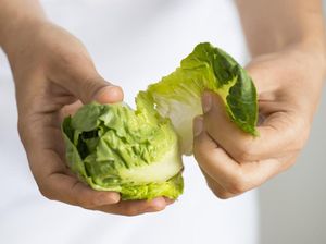 Sayang! Nutrisi Ini Hilang Jika Kol Digoreng