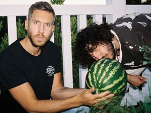 Jago Ciptakan Musik, Calvin Harris Juga Handal Tanam Semangka dan Buah