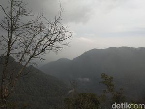 Serunya Naik Gunung Burangrang, Rimba Tempat Latihan Kopassus