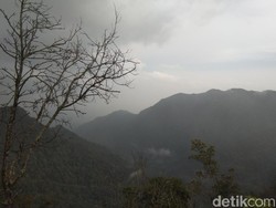 Serunya Naik Gunung Burangrang, Rimba Tempat Latihan Kopassus
