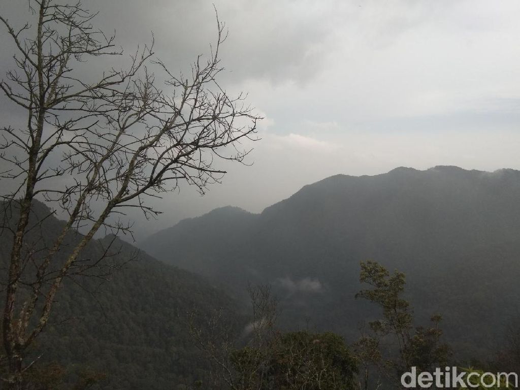 Serunya Naik Gunung Burangrang, Rimba Tempat Latihan Kopassus Serunya Naik Gunung Burangrang, Rimba Tempat Latihan Kopassus