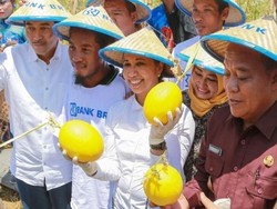 2,15 Juta Pelaku Usaha Mikro Naik Kelas Berkat Penyaluran KUR