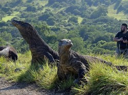 Legenda Dukun Beranak Sumba yang Akhiri Bedah Sesar Maut Suku Komodo