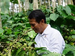 Mentan Sebut Program Cetak Sawah Naik 400% Dibanding 2014