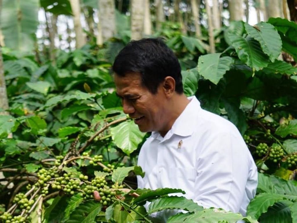 Mentan Sebut Program Cetak Sawah Naik 400% Dibanding 2014 Mentan Sebut Program Cetak Sawah Naik 400% Dibanding 2014