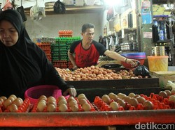 Ada HET Baru untuk Telur dan Daging Ayam, Peternak: Nggak Berlaku