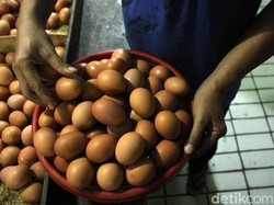 Janji Prabowo Turunkan Harga Telur 100 Hari Bikin Heboh