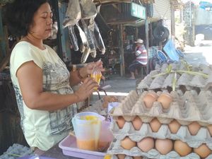 Anomali Harga Telur Ayam yang Turun Jelang Akhir Tahun