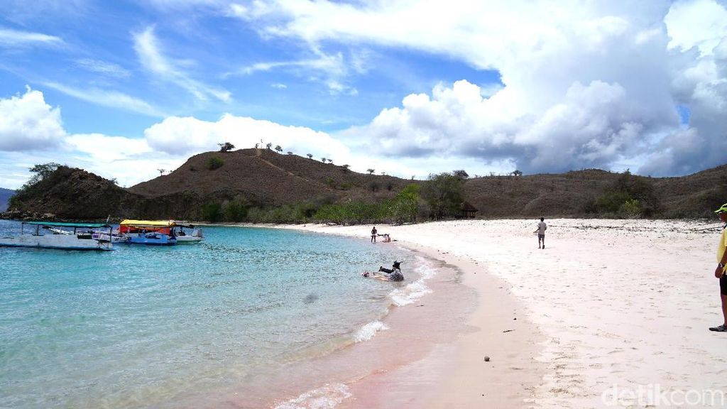 Foto: Pantai Pink Sungguhan Ada di Indonesia