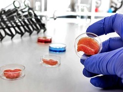 Daging Wagyu Rekayasa Akan Dibuat di Dalam Lab