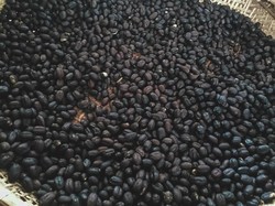 Biar Semangat, Ngopi Dulu di Gunung Puntang