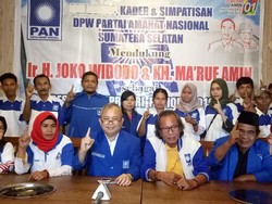 Usai Kalsel, Kini Kader PAN Sumsel Ramai-ramai Dukung Jokowi
