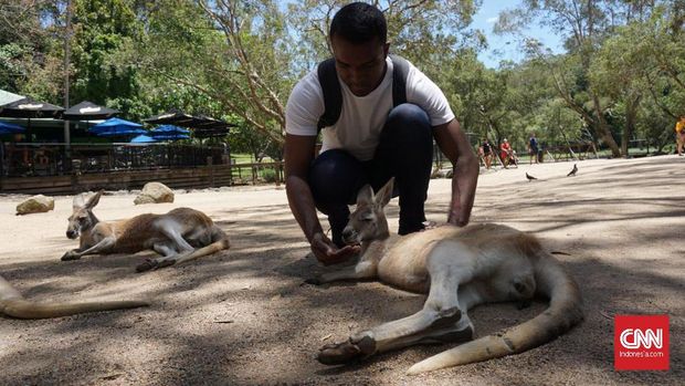 Wisata Pantai sampai Ketinggian di Queensland*