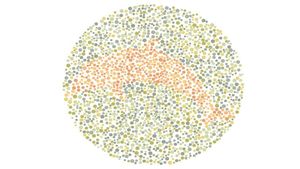 Buta Warna atau Tidak? Tes Mata Kamu Lewat Gambar Berikut