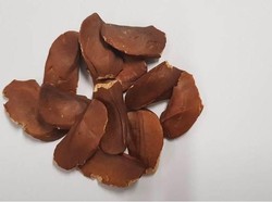 Rutin Konsumsi Biji Mahoni Ternyata Bisa Memicu Penyakit Hati