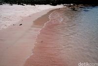 Gradasi warna manis di Pantai Pink (Shinta/detikTravel)