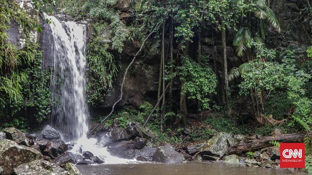 Menerjang Badai di Taman Nasional Tamborine*