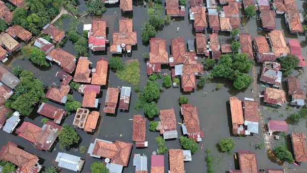 Penampakan Ribuan Rumah di Jambi yang Terendam Banjir